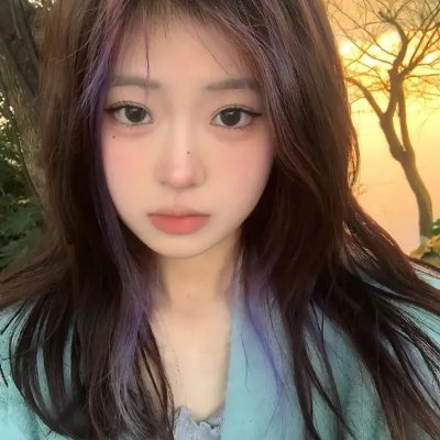 狐獴家族